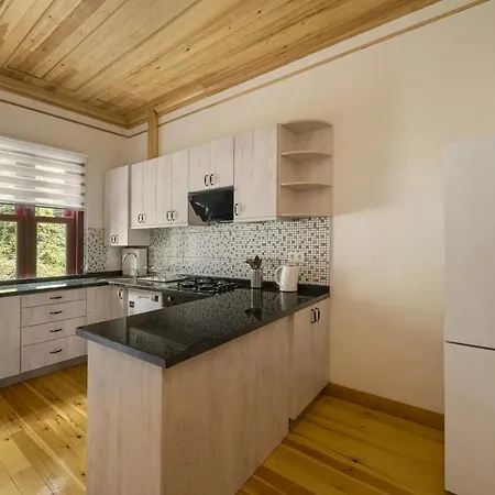 Newly Renovated Lavish Historic 6br House 102 * Estambul