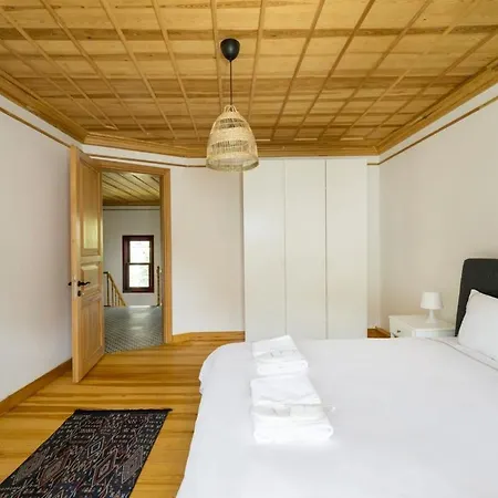 Newly Renovated Lavish Historic 6br House 102 * Estambul
