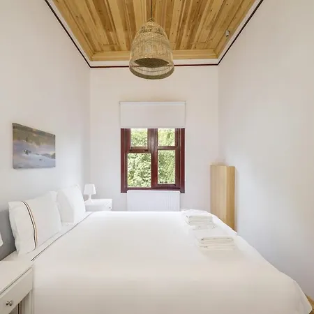 Newly Renovated Lavish Historic 6br House 102 Сasa de vacaciones Estambul