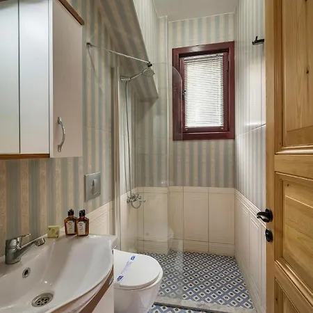 Newly Renovated Lavish Historic 6br House 102 Сasa de vacaciones Estambul
