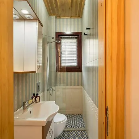Newly Renovated Lavish Historic 6br House 102 *
